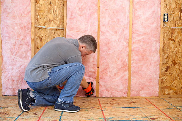 Types of Insulation We Offer in Western Springs, IL